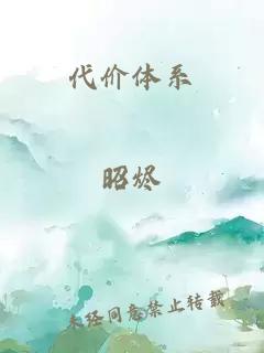 代价体系