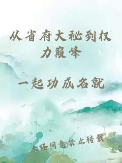 从省府大秘到权力巅峰